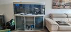150cm aquarium met inhoud MOET ZSM WEG!!!, Ophalen of Verzenden, Gebruikt, Gevuld zoetwateraquarium