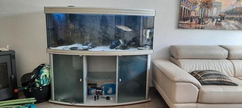 150cm aquarium met inhoud MOET ZSM WEG!!!, Dieren en Toebehoren, Vissen | Aquaria en Toebehoren, Gebruikt, Gevuld zoetwateraquarium