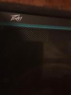 Peavey boxen 2x, Muziek en Instrumenten, Ophalen, Gebruikt, Minder dan 500 watt