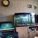 Aquaruim 120 B x32 D  x60 H, Dieren en Toebehoren, Vissen | Aquaria en Toebehoren, Ophalen, Gebruikt, Leeg aquarium