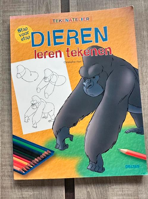 Dieren leren tekenen - Christopher Hart, Boeken, Hobby en Vrije tijd, Gelezen, Tekenen en Schilderen, Geschikt voor kinderen, Ophalen of Verzenden