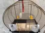 Bijna nieuw vogelkooi van Luna 2 Ferplast, Ophalen of Verzenden, Zo goed als nieuw, Metaal, Vogelkooi