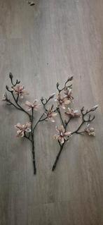 Magnolia takken, Ophalen of Verzenden, Zo goed als nieuw