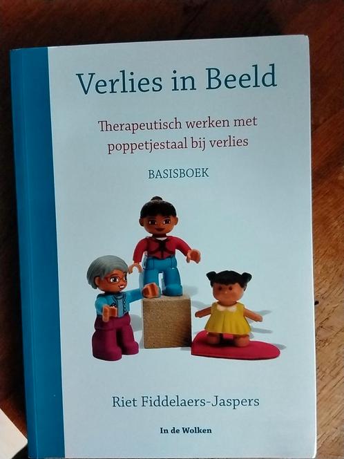 Verlies in Beeld - Riet Fiddelaers-Jaspers, Boeken, Wetenschap, Zo goed als nieuw, Ophalen of Verzenden