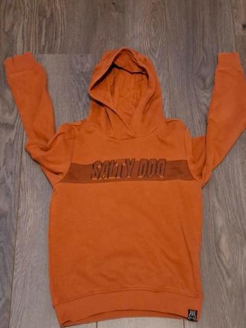 Salty Dog Hoodie Maat 134-140 beschikbaar voor biedingen