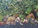 Sier stenen gratis op te halen, Tuin en Terras, Grind, Keien en Split, Ophalen, Gebruikt, Multi, Kei