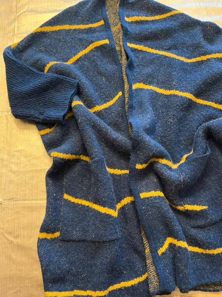 Blauw/geel vest ‘ Sandwich’ met zakjes mt L/XL, Kleding | Dames, Truien en Vesten, Zo goed als nieuw, Maat 46/48 (XL) of groter