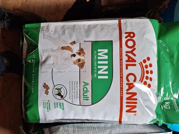 Adult mini royal Canin te koop beschikbaar voor biedingen
