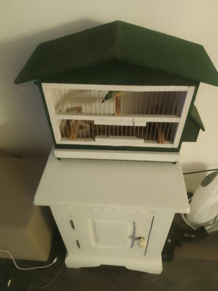 Te koop zang vogel kooi, Dieren en Toebehoren, Vogels | Hokken en Kooien, Ophalen, Hout, Vogelkooi