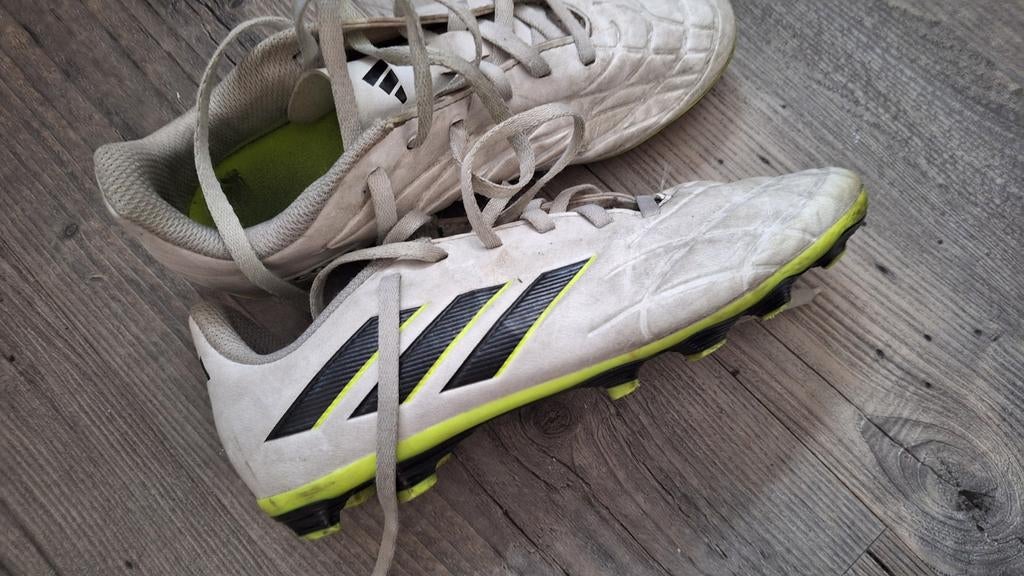 Voetbalschoenen  36.5 merk coppa, Sport en Fitness, Voetbal, Maat XS of kleiner, Ophalen of Verzenden, Zo goed als nieuw, Schoenen