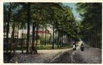 Omstr. Breda. Ginneken, Boschlaan - 1927 gelopen, Ophalen of Verzenden, Voor 1920, Gelopen, Noord-Brabant
