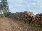 stamhout brandhout boomstammen volle vrachten, Tuin en Terras, Stammen, Ophalen of Verzenden, 6 m³ of meer, Overige houtsoorten
