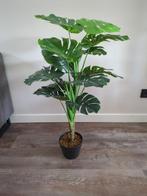 Kunstplant Monstera in pot 100 cm, Ophalen, Nieuw
