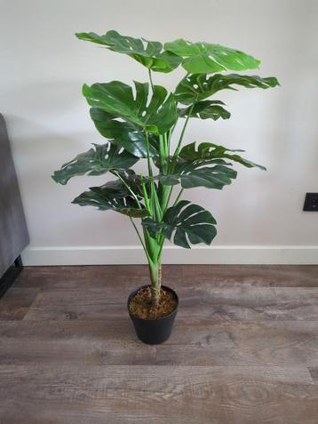 Kunstplant Monstera in pot 100 cm

 beschikbaar voor biedingen