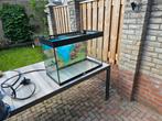 Aqualantis aquarium met led verlichting en deksel., Dieren en Toebehoren, Ophalen, Zo goed als nieuw, Leeg aquarium