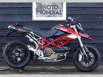 DUCATI HYPERMOTARD 1100  (bj 2007) Termignoni, Carbon, Motoren, Motoren | Ducati, 2 cilinders, 1079 cc, Bedrijf, Meer dan 35 kW