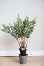 Kunstplant Varen 60cm Easyplants, Huis en Inrichting, Woonaccessoires | Kunstplanten en Kunstbloemen, Nieuw, Ophalen