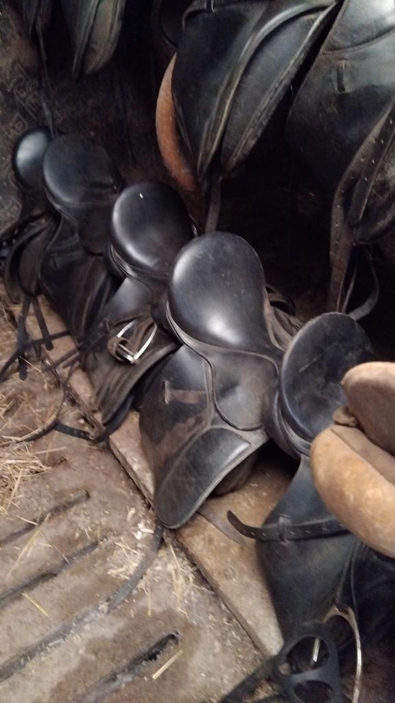 Heel veel paarden  en pony spullen/zadels/hoofdstellen, Dieren en Toebehoren, Paarden en Pony's | Zadels, Zo goed als nieuw, Ophalen of Verzenden