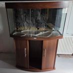 €75,- Moet zo snel mogelijk weg. Juwel aquarium met meubel., Dieren en Toebehoren, Vissen | Aquaria en Toebehoren, Ophalen, Gebruikt