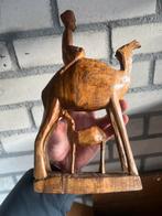Houten kameel beeld, Verzamelen, Beelden en Beeldjes, Ophalen of Verzenden, Zo goed als nieuw, Dier