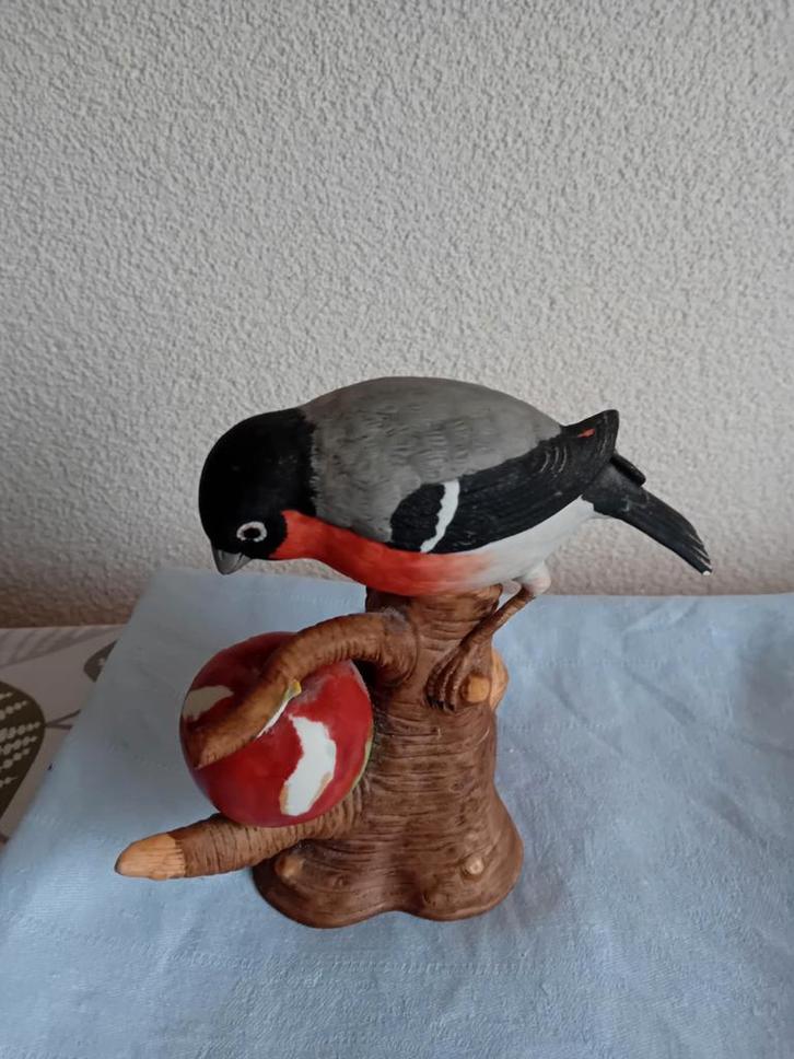 Goudvink, Dieren en Toebehoren, Vogels | Overige Vogels, Mannelijk