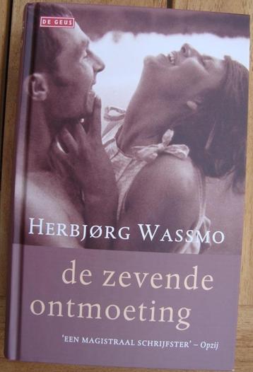 De zevende ontmoeting - Herbjorg Wassmo - hc beschikbaar voor biedingen