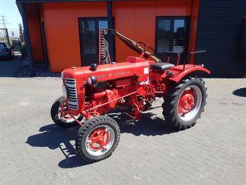 MCCORMICK F 137 D (bj 1955) beschikbaar voor biedingen