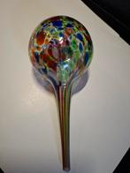 Glazen waterdruppelaar, Ophalen, Overige soorten, Volle zon