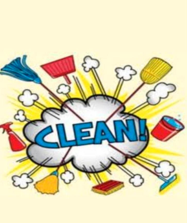 Huishoudelijke Hulp Aangeboden in Rotterdam, Diensten en Vakmensen, Huishoudelijke hulp