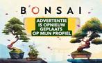 Bonsai Gereedschap, Ophalen of Verzenden, Nieuw, Overige soorten, Bonsai