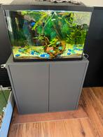 Gratis compleet met vis !, Ophalen, Zo goed als nieuw, Gevuld zoetwateraquarium