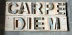 Wandspreuk op steigerhout ‘Carpe Diem’, Ophalen of Verzenden, Zo goed als nieuw