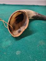 koe hoorn antiek, Ophalen of Verzenden, 'T Olde Gre-j, Info@toldegrej.nl, Endepoelstraat 20f Didam