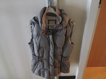 Dames Bodywarmer met Capuchon Esprit Maat zie foto beschikbaar voor biedingen