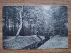 ansichtkaart Breda Princenhage Het Liesbosch bij Breda, Verzamelen, Ansichtkaarten | Nederland, Ophalen of Verzenden, 1920 tot 1940
