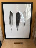 A3 Poster met veren, Huis en Inrichting, Ophalen of Verzenden, Zo goed als nieuw, Foto of Poster, Minder dan 50 cm