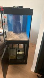 Kweek bak of leuk Aqaurium, Ophalen of Verzenden, Leeg aquarium