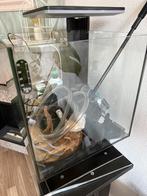 Superfish 30 compleet, zgan, Dieren en Toebehoren, Vissen | Aquaria en Toebehoren, Ophalen, Zo goed als nieuw, Gevuld zoetwateraquarium