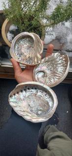 Abaloneschelp/parelmoer 12x10 cm, ideaal voor smudging, Ophalen of Verzenden, Glas of Kopje