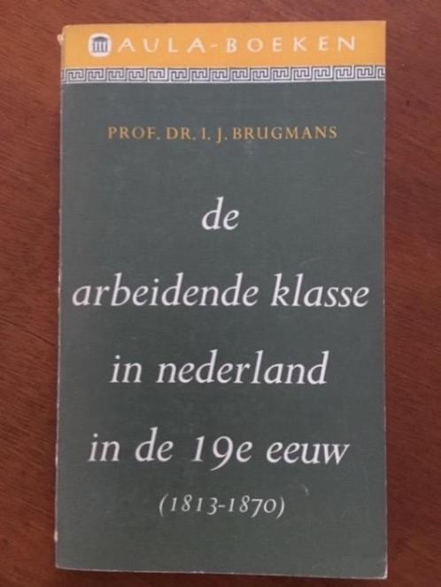 De arbeidende klasse in NL in de 19e eeuw, Boeken, Geschiedenis | Vaderland, Gelezen, 19e eeuw, Verzenden