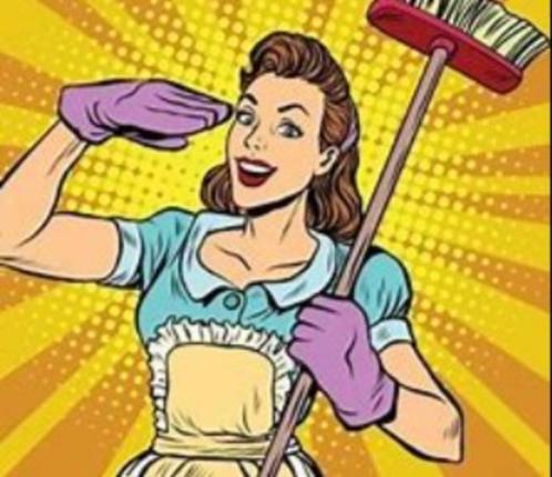 Aangeboden Nette Huishoudelijke Hulp omg. Spijkenisse, Vacatures, Vacatures | Schoonmaak en Facilitaire diensten, HBO, Vanaf 10 jaar