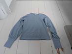 Lichtblauwe trui van Cane & Cane, Kleding | Dames, Blauw, Maat 46/48 (XL) of groter, Nieuw, Ophalen of Verzenden