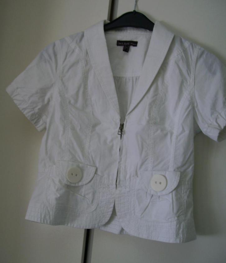 Anna Scott blouse wit maat 36, Kleding | Dames, Blouses en Tunieken, Gedragen, Maat 36 (S), Wit, Ophalen of Verzenden
