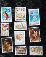 Vosachtige met diverse oren, Postzegels en Munten, Ophalen of Verzenden