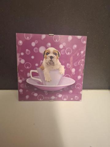 Foto puppy in theekop Keith Kimberlin beschikbaar voor biedingen