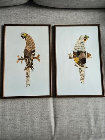 Twee Unieke Vogel Prints beschikbaar voor biedingen
