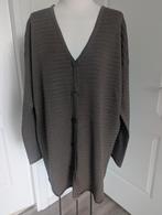 Mooi vest van het merk Imitz/mt.42/44, Kleding | Dames, Bruin, Verzenden, Maat 42/44 (L), Nieuw