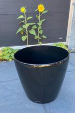 LECHUZA Classico LS 43 Premium hoogglans zwart, Ophalen, Kunststof, Gebruikt, 40 cm of meer