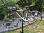 Bottecchia Racefiets - Altavelocita - Maat 51, Fietsen en Brommers, Fietsen | Racefietsen, Gebruikt, Aluminium, 49 tot 53 cm, 15 tot 20 versnellingen