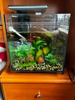 Aquarium met toebehoren, Dieren en Toebehoren, Vissen | Aquaria en Toebehoren, Ophalen of Verzenden, Leeg aquarium